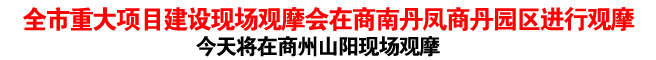 全市重大項(xiàng)目建設(shè)現(xiàn)場觀摩會(huì)在商南丹鳳商丹園區(qū)進(jìn)行觀摩