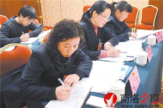 柞水團(tuán)代表正在認(rèn)真撰寫建議。 （記者 李敏 費(fèi)翔 攝）