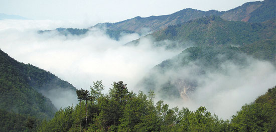 香 溝