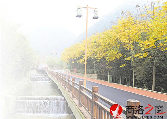 碧水、青竹、黃葉、觀景道，美麗鄉(xiāng)村竹林關(guān)的鄉(xiāng)間小道。