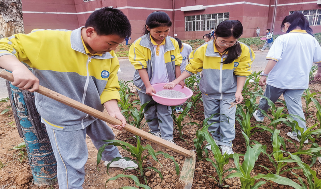 讓每一個(gè)孩子茁壯成長