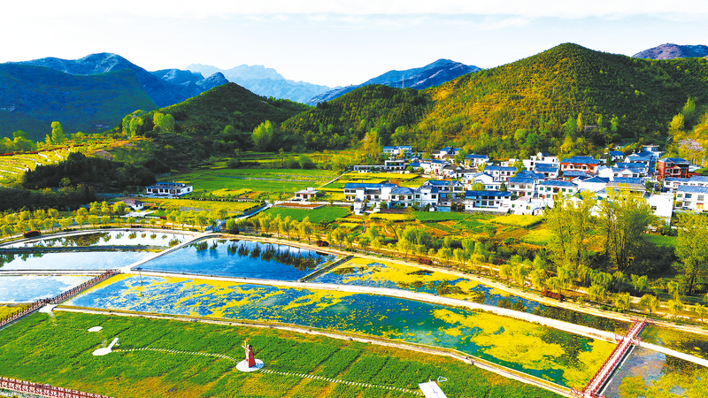 農(nóng)文旅融合，“融”出好光景