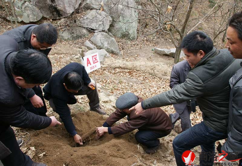 商南縣政府開展送政策、送技術(shù)、送溫暖活動