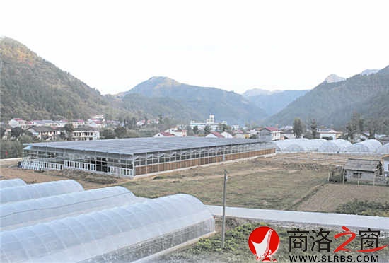 現代農業(yè)園區(qū)，農民抱團闖市場的基地。