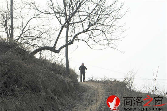 我們離開時(shí)，吳桂香送出很遠(yuǎn)。我們已經(jīng)走遠(yuǎn)，山梁上那孤獨(dú)的身影久久不肯離去。