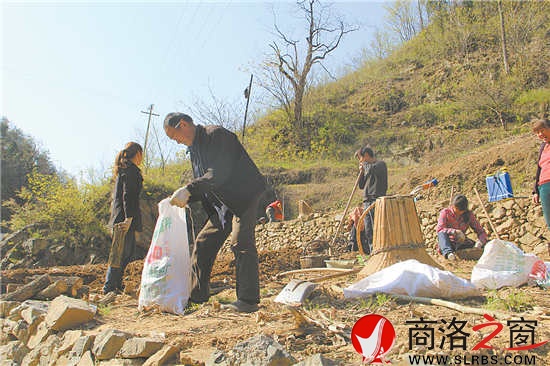 正是種豬苓的時候,田地里隨處可見種植的農(nóng)戶。