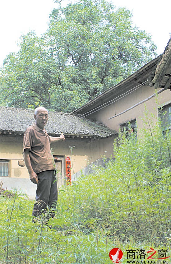在村里，十有八九的農(nóng)家院落已長滿了蒿草。留守在村里的人路過這些院落，會不由自主地想起院落主人。