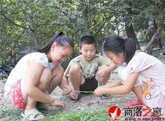 黃沙嶺腳下，胡昊和小伙伴們正在給一只小鳥(niǎo)用草編籠子。