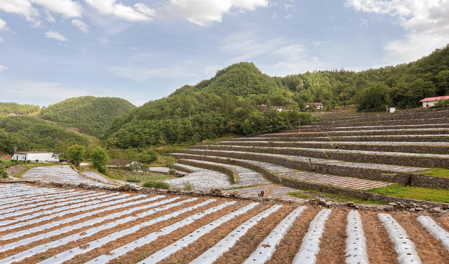 用好“千萬(wàn)工程”經(jīng)驗(yàn) 繪就和美鄉(xiāng)村新畫卷